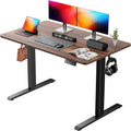 Standing Computer Gaming Office Desk - 48 x 24 Inches Adjustable Stand Up Electric Height Rising Table with Memory Presets for Home Study Writing PC Work, Modern Simple Walking Sit Desk, Easy Assembly