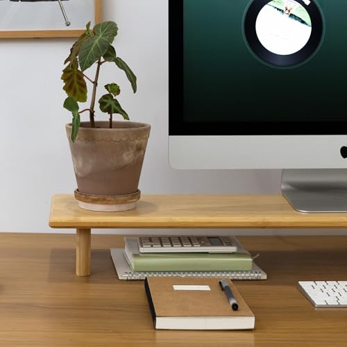 Bamboo Dual Monitor Stand Riser, Natural Desk Shelf with Storage - view 4