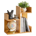 Short Bookshelf Small Desk Organizer, Cactus Bookshelf Unique Bookcase, Book Display Shelf Small Plant Stand for Tabletop, Natural Wood Color YD-DSR002N