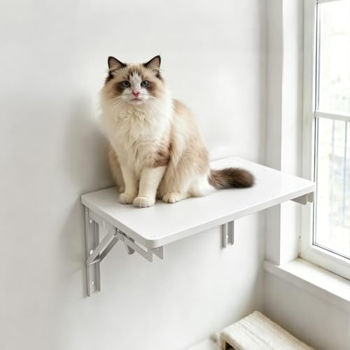 Folding Shelf Wall Mounted for Small Space - view 2