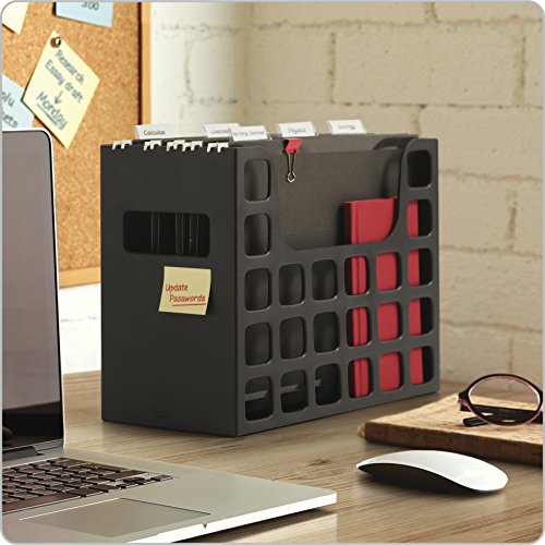 Portable Desktop File, Document Holder for Home and Office, Plastic Organizer Box, Side Handles, Hanging File Folders, Tabs & Inserts, Letter Size, 9-1/2 x 12-3/16 x 6 Inches, Black (23013) - view 2