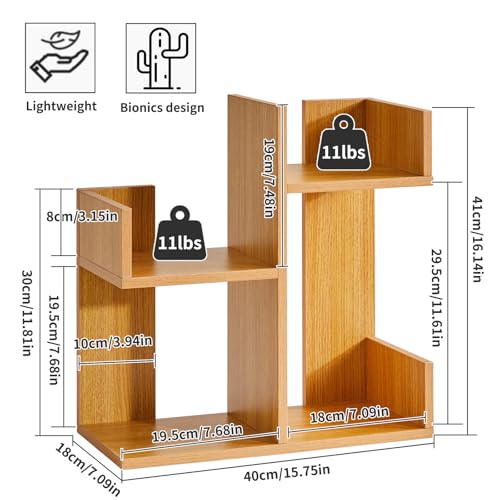 Short Bookshelf Small Desk Organizer, Cactus Bookshelf Unique Bookcase, Book Display Shelf Small Plant Stand for Tabletop, Natural Wood Color YD-DSR002N - view 3