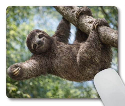 Happy Sloth Customized Rectangle Non-Slip Rubber Mousepad Gaming Mouse Pad 9.5 X 7.9 Inch (240mmX200mmX3mm)