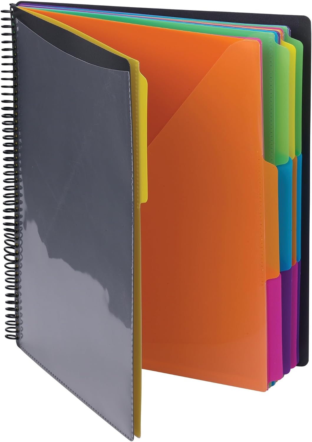 Project Organizer, 24 Pockets, Grey with Assorted Bright Tabs, Tear Resistant Poly, 1/3-Cut Tabs, Letter Size (89206)